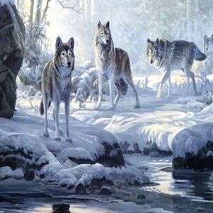 Meet your Posher, Wanda